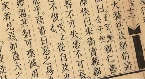 弱冠弄柔翰 卓犖觀群書|詠史八首